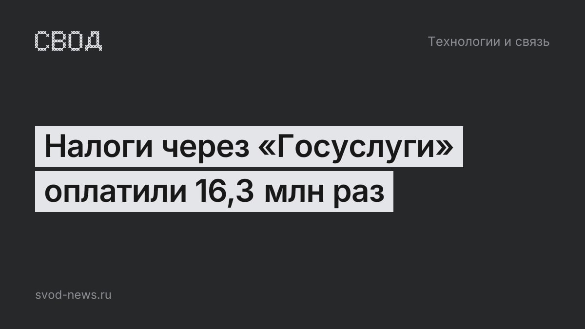 Налоги через «Госуслуги» оплатили 16,3 млн раз