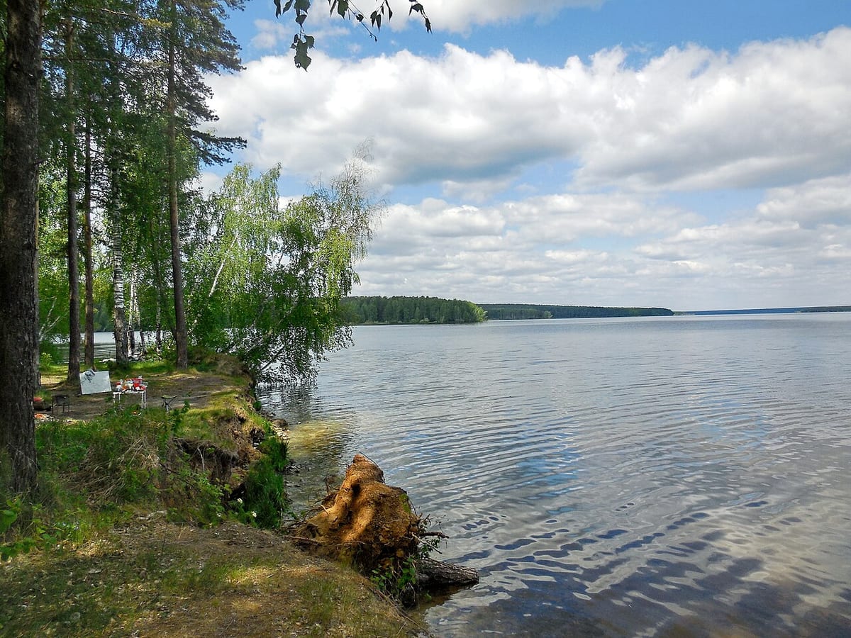 Белоярская АЭС завершила зарыбление водохранилища на 2026 год