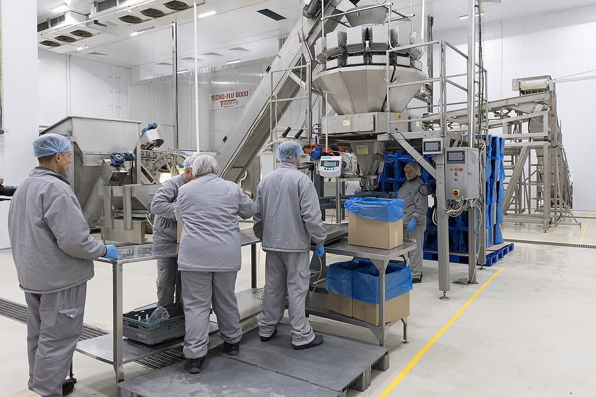 «Мираторг» получил допуск на рынок Южной Кореи для своих комбикормов
